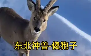 临场指挥获称赞-piC傻漓?a?轈?>(不爱就算了pixxie)